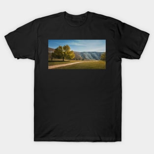 a tree near the country road T-Shirt